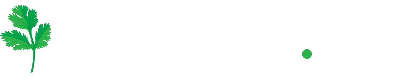 Portfolio Logo
